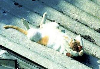 &iexcl;&iexcl;&iexcl;BIENVENID@SSSS!!!